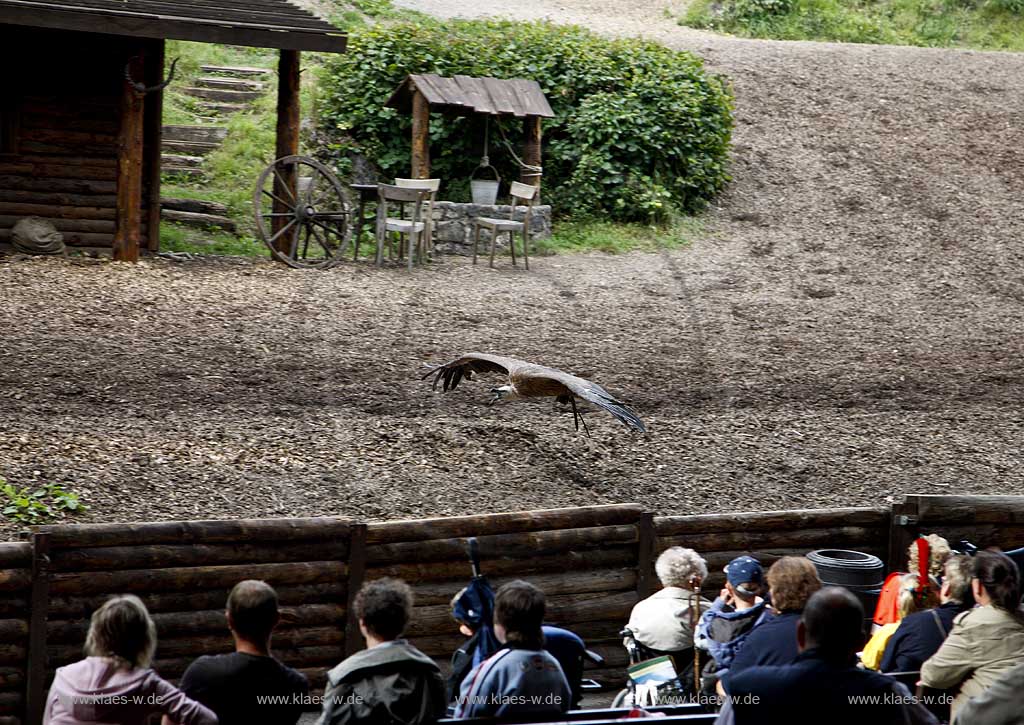 Naturbhne, Naturbuehne mit Karl May Spielen Elspe in Lennestadt, Sauerland mit Winnetou gespielt von Benjamin Armbruster und Old Surehand gespielt von Rolf Schauerte mit Sicht auf verschiedene Spielszenen der Auffuehrung des Stueckes Unter Geiern