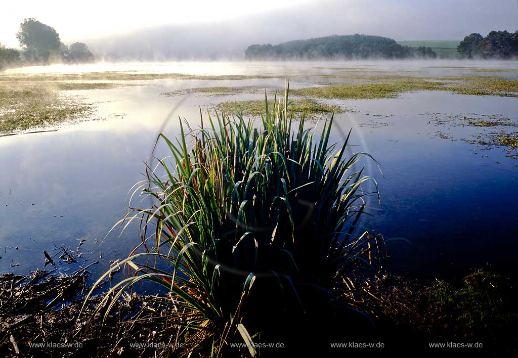 Listertalsperre, Meinerzhagen, Maerkischer Kreis, Mrkischer Kreis, Blick auf Listertalsperre im Herbst, Sauerland