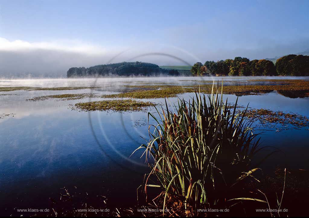 Listertalsperre, Meinerzhagen, Maerkischer Kreis, Mrkischer Kreis, Blick auf Listertalsperre im Herbst, Sauerland