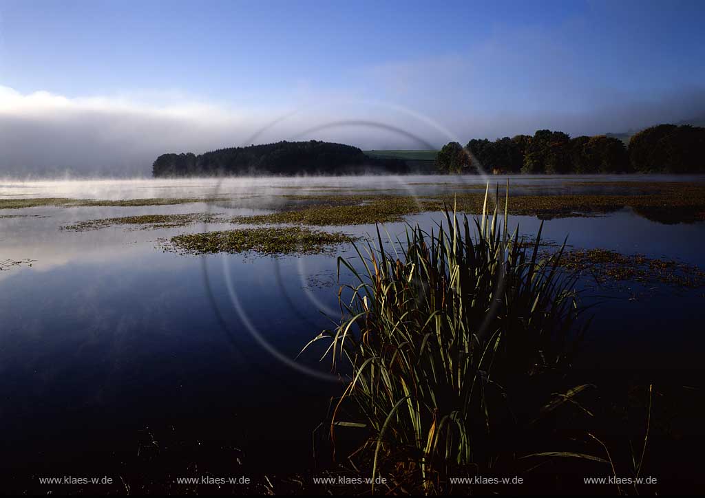 Listertalsperre, Meinerzhagen, Maerkischer Kreis, Mrkischer Kreis, Blick auf Listertalsperre im Herbst, Sauerland