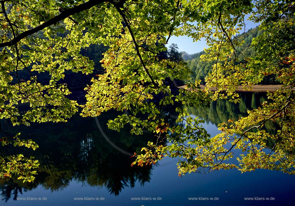 Luedenscheid, Ldenscheid, Maerkischer Kreis, Mrkischer Kreis, Fuelbecker, Flbecker Talsperre in Herbststimmung, Sauerland