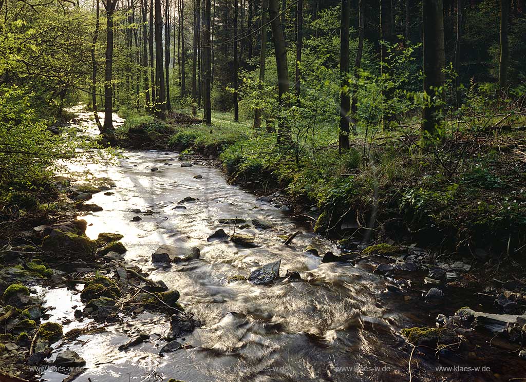 Luedenscheid, Oedenthal, Blick auf Oedenthalbach, Maerkischer Kreis, Sauerland 