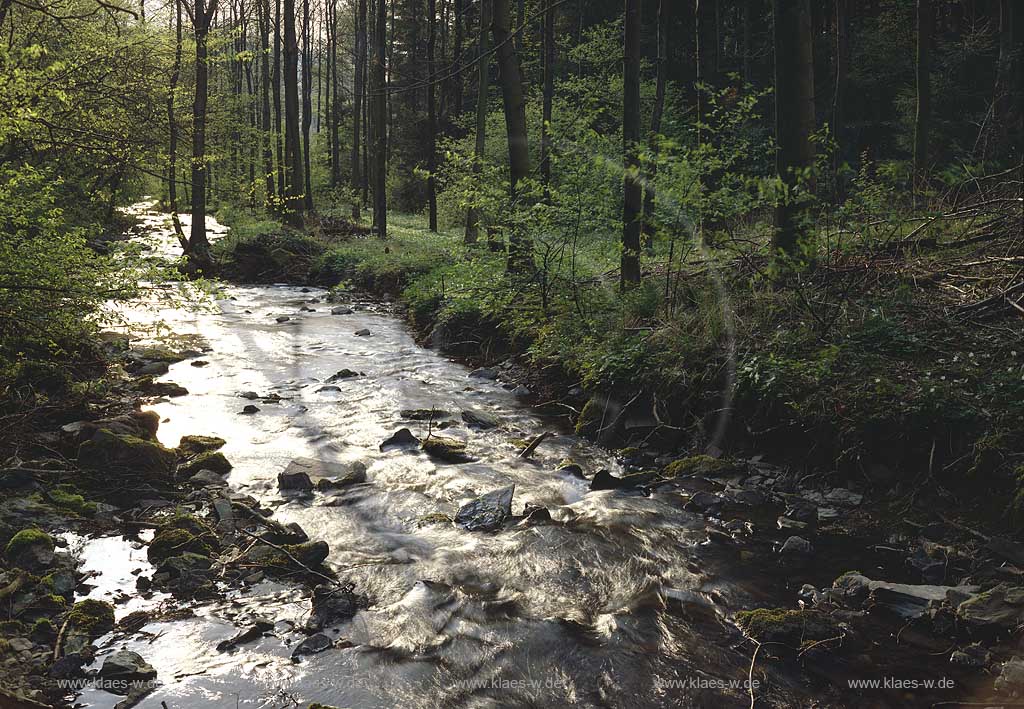 Luedenscheid, Oedenthal, Blick auf Oedenthalbach, Maerkischer Kreis, Sauerland 