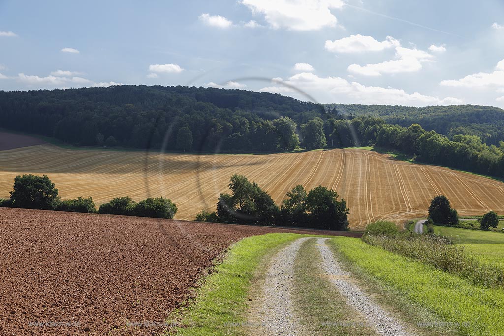 Marsberg Canstein, Huegellandschaft mit Feld, Weide und Acker; Marsberg Canstein, rolling country landscape.