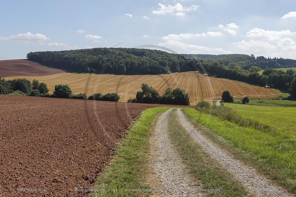 Marsberg Canstein, Huegellandschaft mit Feld, Weide und Acker; Marsberg Canstein, rolling country landscape.