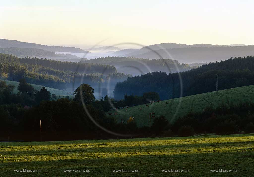 Meinerzhagen, Maerkischer Kreis, Mrkischer Kreis, Blick auf Lanschaft mit Fruehnebel, Frhnebel, Sauerland