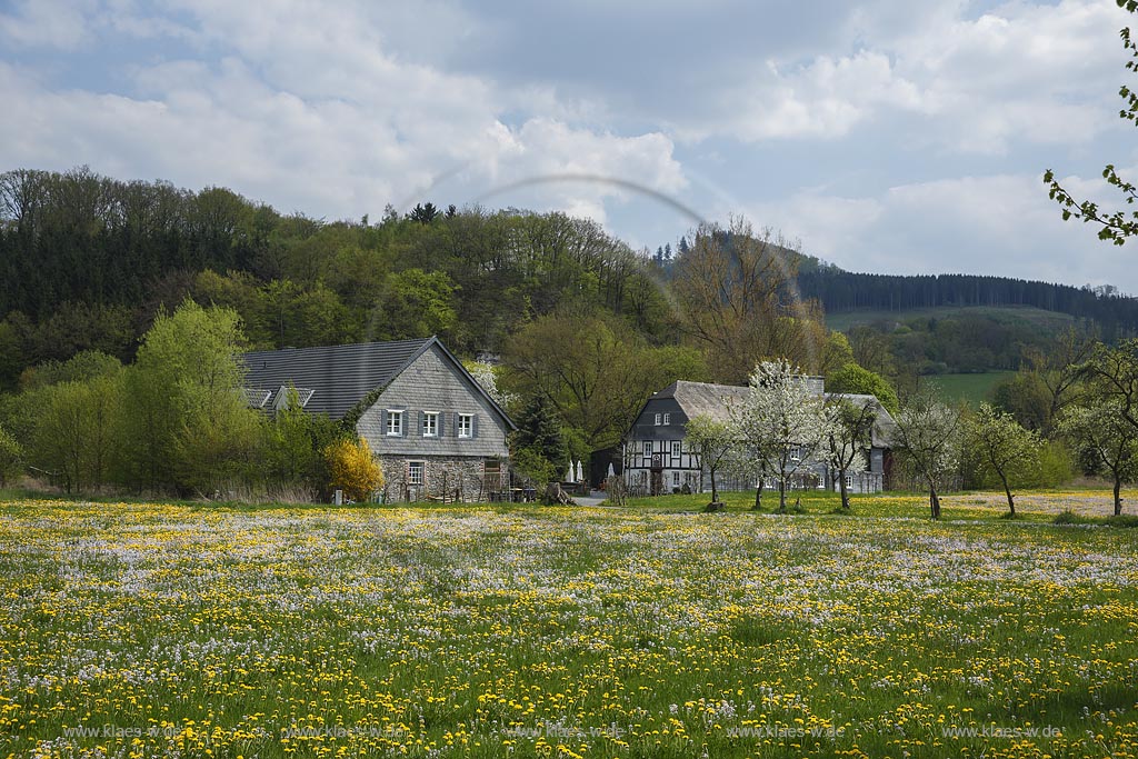 Meschede Berge, Blick auf einen Fachwerkhof hinter einer  bluehenden Fruehlingswiese; Meschede Berge, view to a frame yard behind a flowering grassland in spring.