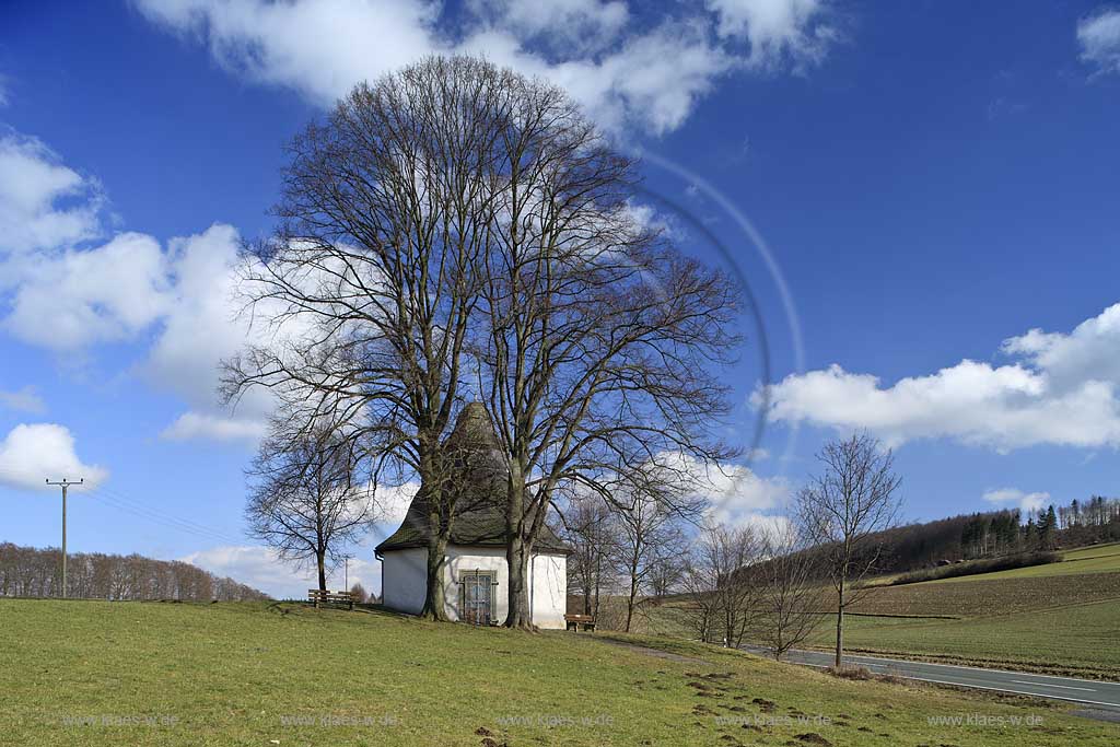 Meschede Calle Schlader Kapelle zwischen zwei Linden mit blattlosen kahlen Aesten im Vorfruehling, erbaut wurde die Kapelle "Beatae Mariae Virginis" an der Landstrasse von Meschede nach Calle im Jahr 1727 vom Geheimen Rat Friedrich Wilhelm Graf von Westphalen. Der Grundriss der Kapelle ist ein Oktagon, die Kapelle hat eine  barocke Haube, chapel near Meschede Calle between two trees in early spring landscape