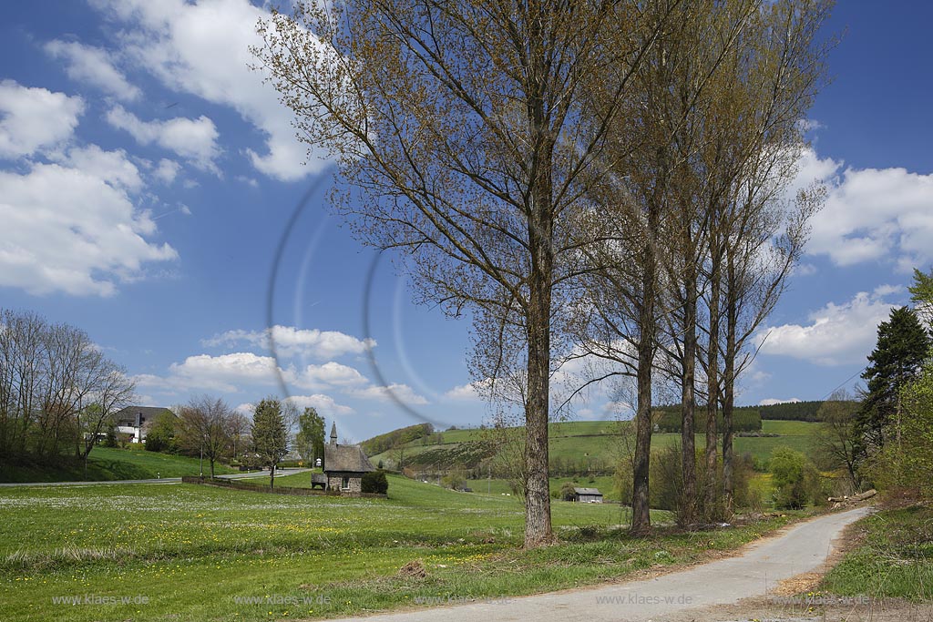 Meschede Grevenstein, Nothelferkapelle in bluehender Fruehlingslandschaft; Meschede Grevenstein, chapel Nothelferkapelle in flowering springtime landscape.