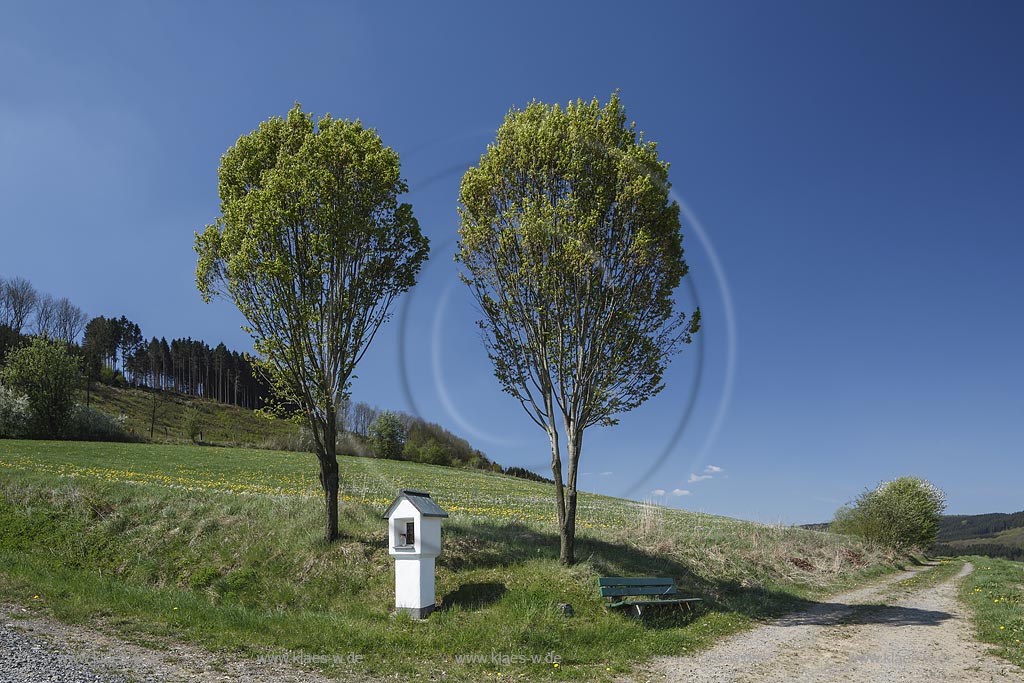 Meschede-Olpe, Kreuzwegstation in Fruehlingslandschaft; Meschede-Olpe, Station of the Cross within springtime landscape.