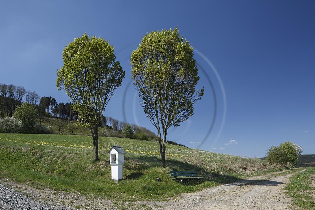 Meschede-Olpe, Kreuzwegstation in Fruehlingslandschaft; Meschede-Olpe, Station of the Cross within springtime landscape.