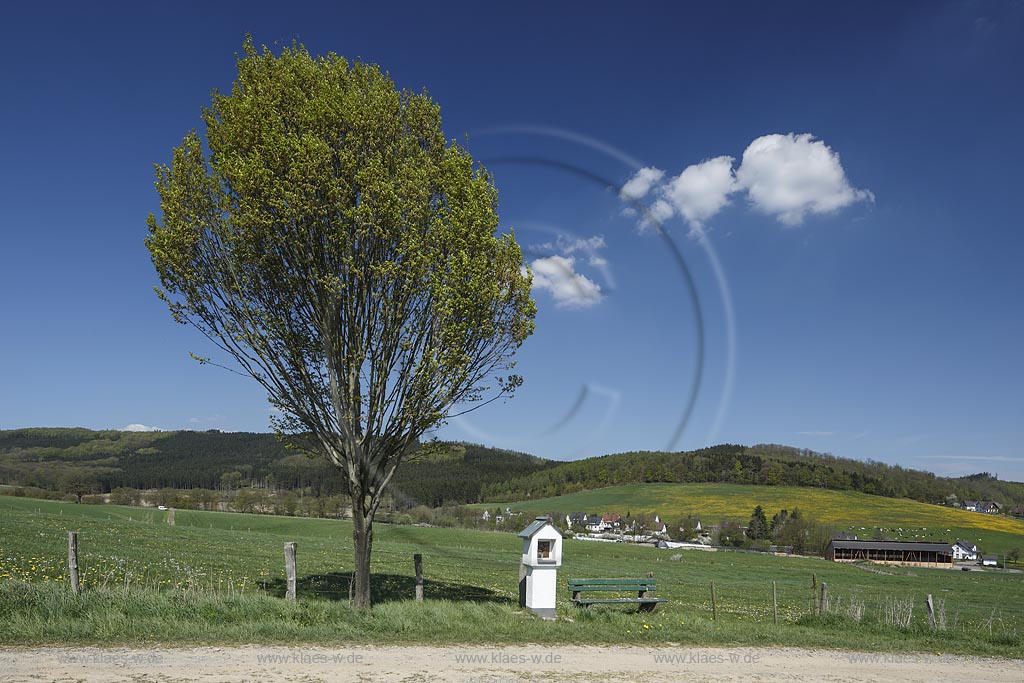 Meschede-Olpe, Kreuzwegstation in Fruehlingslandschaft; Meschede-Olpe, Station of the Cross within springtime landscape.