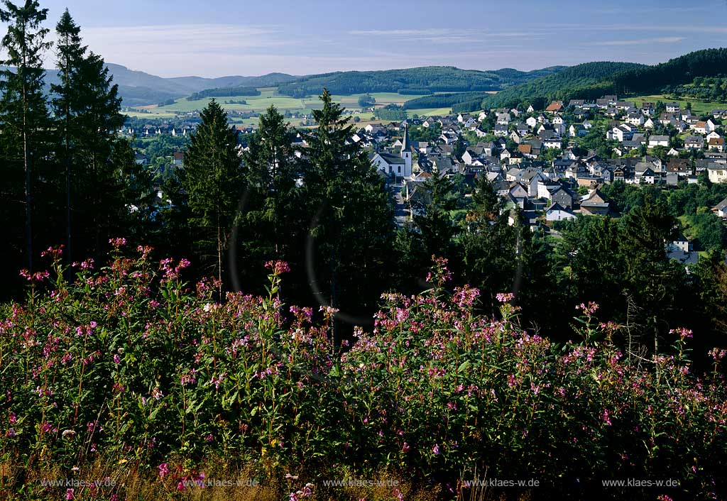 Meschede, Freieohl, Hochsauerlandkreis, Blick auf Stadt, Sauerland