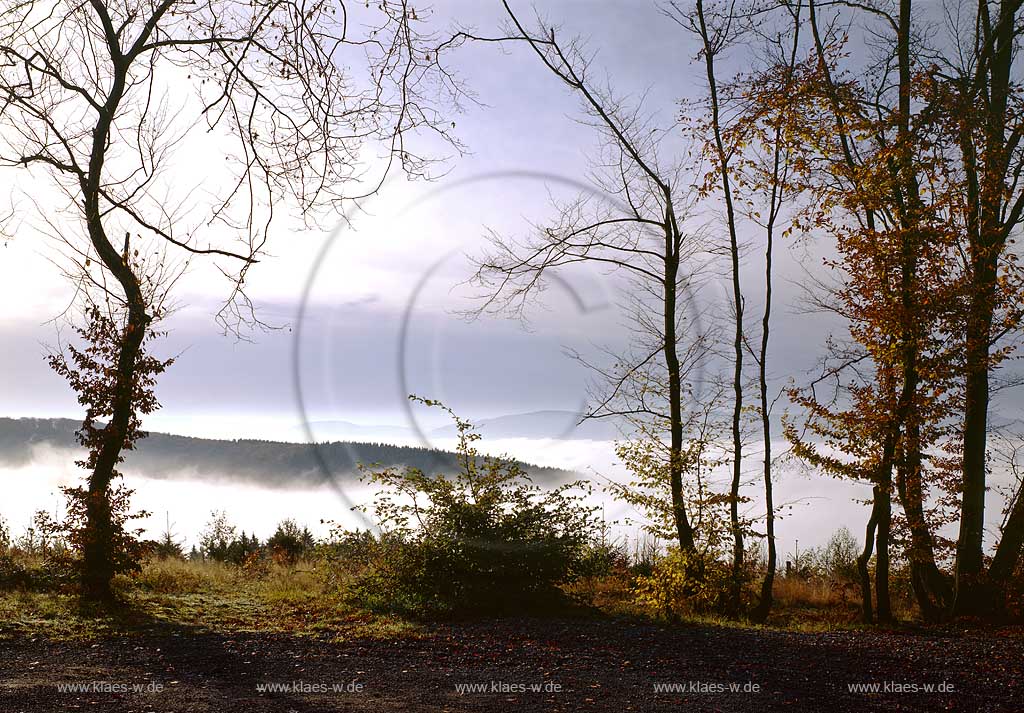 Meschede, Freienohl, Hochsauerlandkreis, Blick auf Herbstnebel ber, ueber Ruhrtal, Sauerland