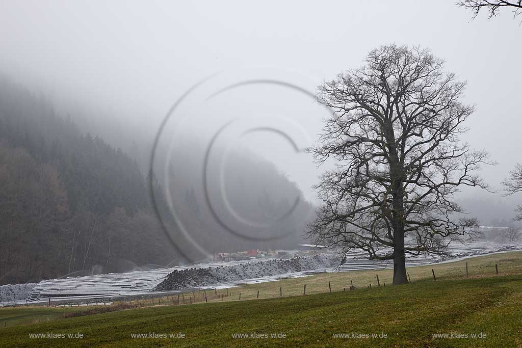 Meschede, Remblinghausen, Saegewerk mit Naholzlager im Nebel mit Rauhreif, Eiche ohne Laub, frostige Winterlandschaft