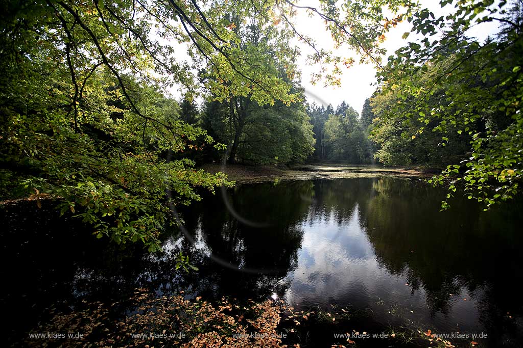 Moehnesee, Mhnesee, Kreis Soest, Blick auf See und Landschaft, Sauerland