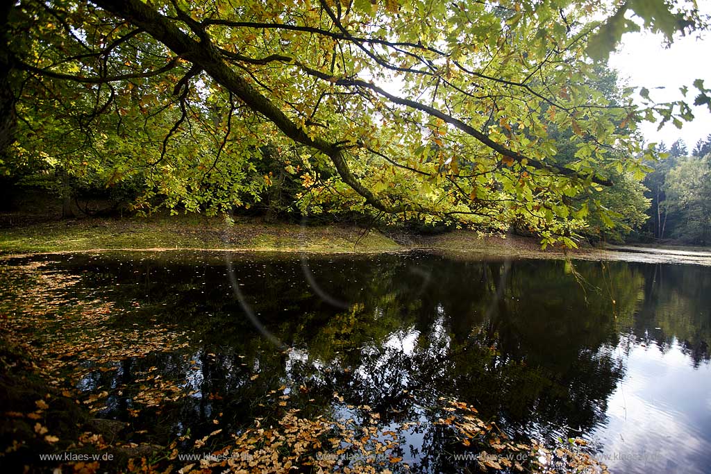 Moehnesee, Mhnesee, Kreis Soest, Blick auf See und Landschaft, Sauerland