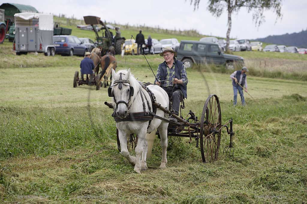 Neuenrade, Affeln, Maerkischer Kreis, Mrkischer Kreis, Bauernmarkt, Historische Landwirtschaft, Landwirt beim Heuwenden, Sauerland