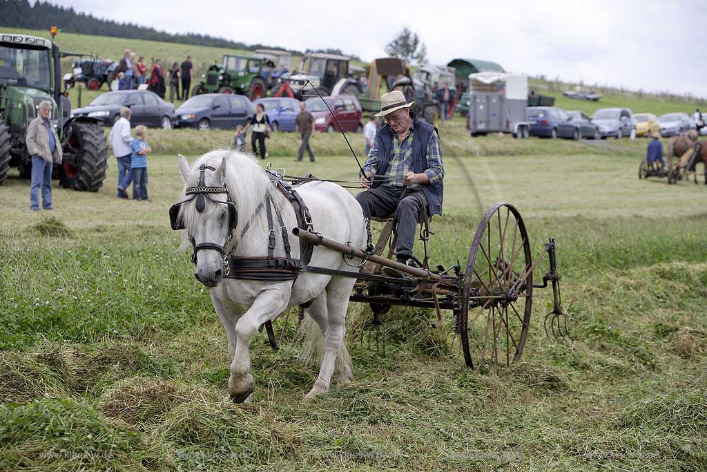 Neuenrade, Affeln, Maerkischer Kreis, Mrkischer Kreis, Bauernmarkt, Historische Landwirtschaft, Landwirt beim Heuwenden, Sauerland