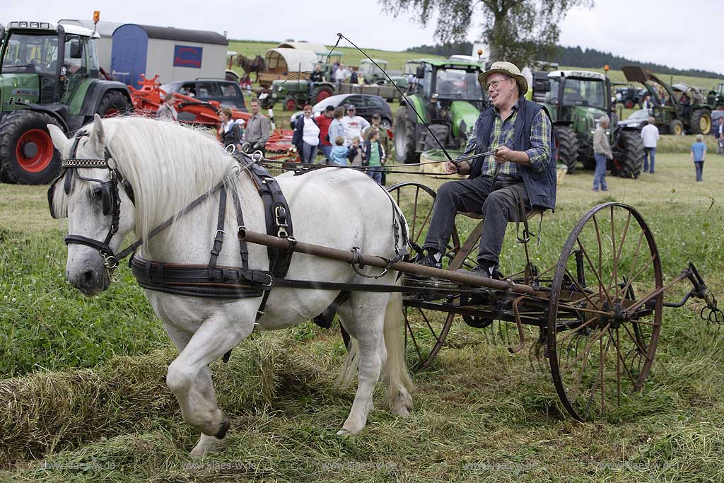 Neuenrade, Affeln, Maerkischer Kreis, Mrkischer Kreis, Bauernmarkt, Historische Landwirtschaft, Landwirt beim Heuwenden, Sauerland