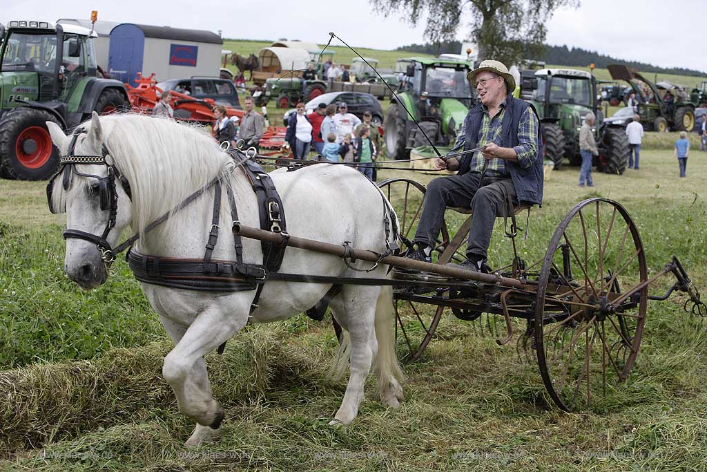 Neuenrade, Affeln, Maerkischer Kreis, Mrkischer Kreis, Bauernmarkt, Historische Landwirtschaft, Landwirt beim Heuwenden, Sauerland