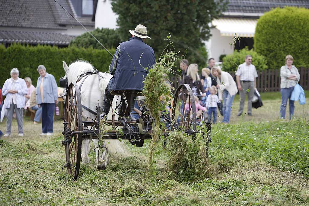 Neuenrade, Affeln, Maerkischer Kreis, Mrkischer Kreis, Bauernmarkt, Historische Landwirtschaft, Landwirt beim Heuwenden, Sauerland