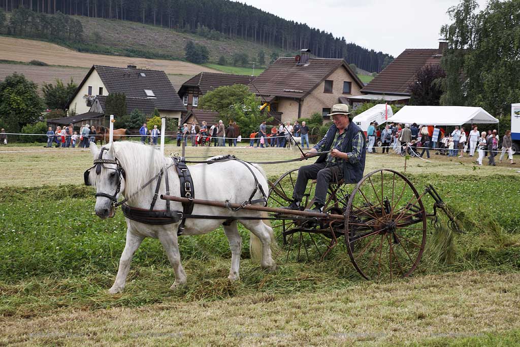 Neuenrade, Affeln, Maerkischer Kreis, Mrkischer Kreis, Bauernmarkt, Historische Landwirtschaft, Landwirt beim Heuwenden, Sauerland