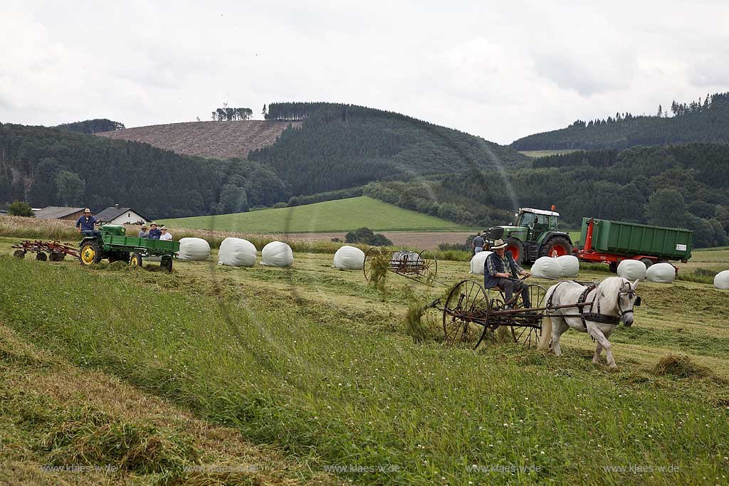 Neuenrade, Affeln, Maerkischer Kreis, Mrkischer Kreis, Bauernmarkt, Historische Landwirtschaft, Landwirt beim Heuwenden, Sauerland