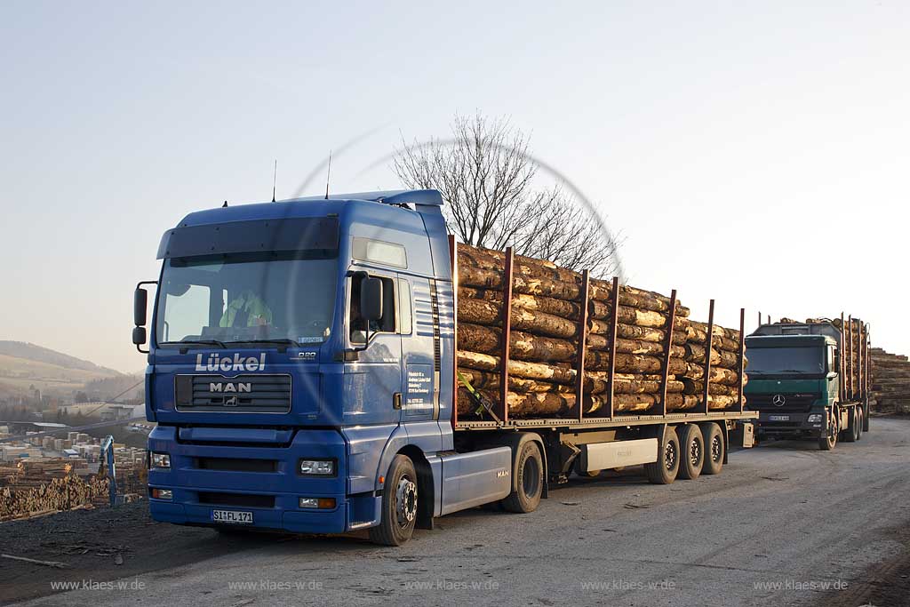 Olsberg, Assinghausen, Sauerland, Sgewerk Pieper, Saegewerk, Holztrucks