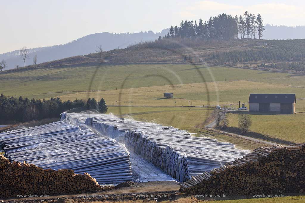 Olsberg, Assinghausen, Sauerland, Sgewerk Pieper, Saegewerk, Nassholzlager, vereiste Baumstmme, Baumstaemme