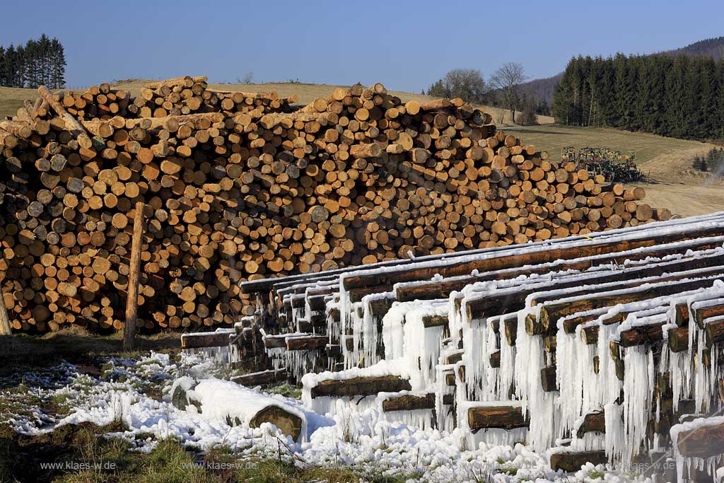 Olsberg, Assinghausen, Sauerland, Sgewerk Pieper, Saegewerk, Nassholzlager, vereiste Baumstmme, Baumstaemme