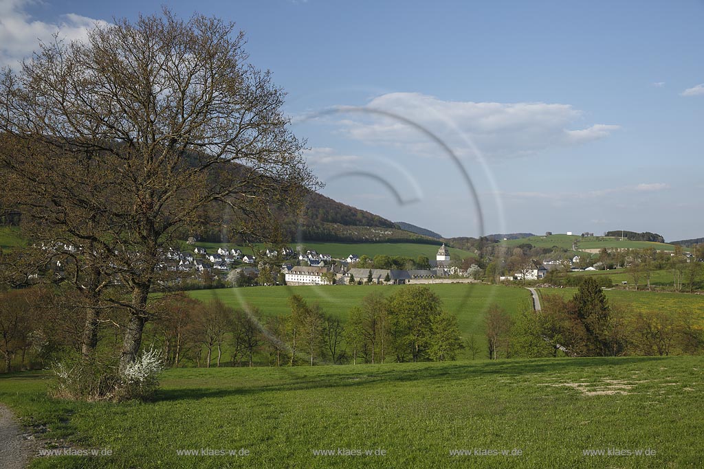 Schmallenberg Grafschaft, Blick zum Kloster Grafschaft in Fruehlingslandschaft; Schmallenberg Grafschaft, view to abbey Kloster Grafschaft within springtime landscape.