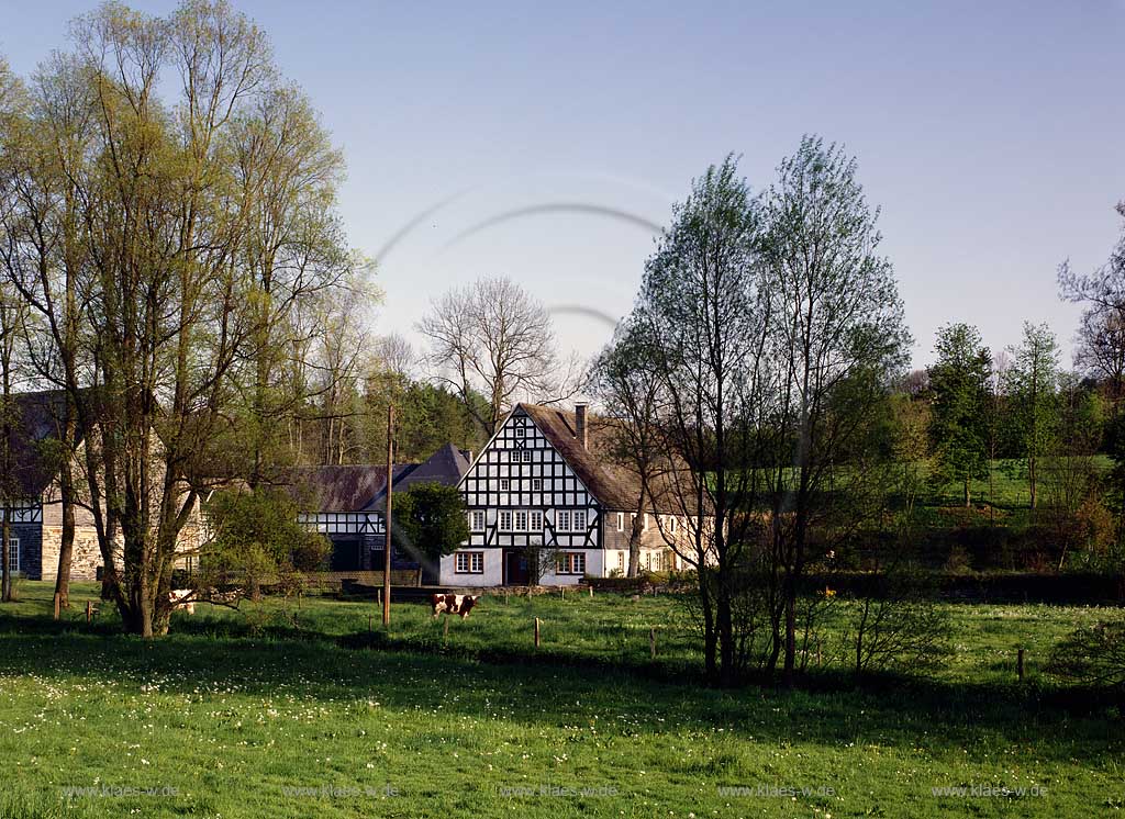 Schmallenberg, Hochsauerlandkreis, Heiminghausen, Blick auf Fachwerkhof,  Sauerland