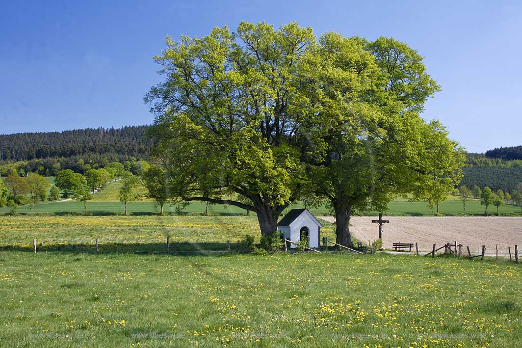 Schmallenberg, Ahberg, Hochsauerlandkreis, Blick auf Kapelle und Landschaft, Sauerland