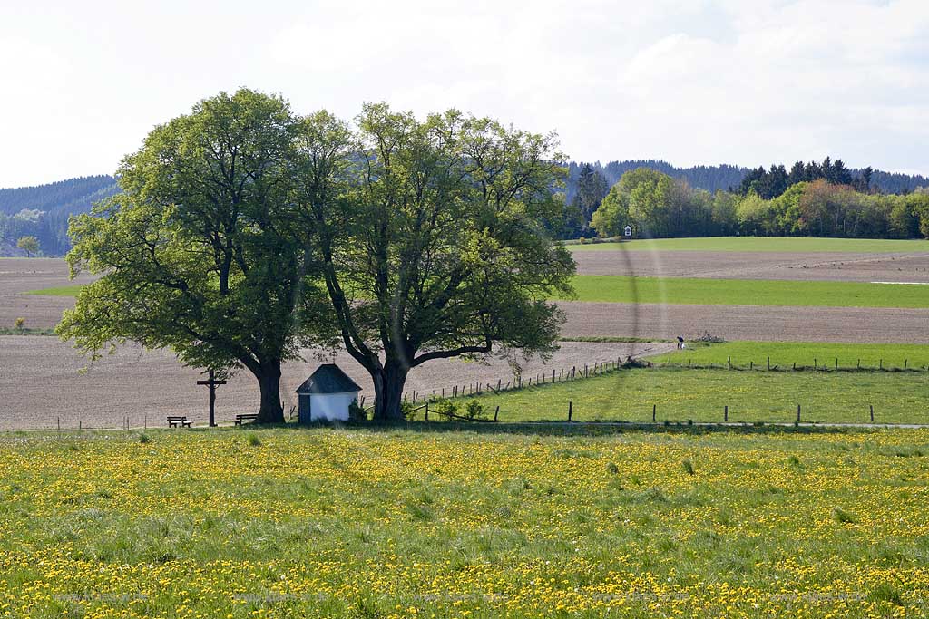 Schmallenberg, Ahberg, Hochsauerlandkreis, Blick auf Kapelle und Landschaft, Sauerland