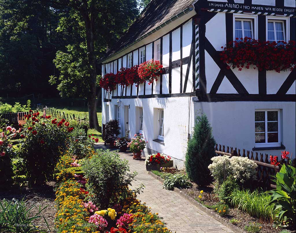 Schmallenberg, Fleckenberg, Hochsauerlandkreis, Blick auf Blumengarten und Fachwerkhaus, Sauerland