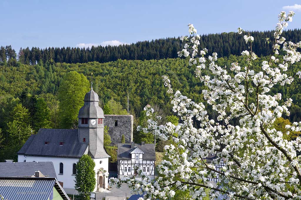 Schmallenberg, Nordenau, Hochsauerlandkreis, Blick auf Kirche, Ort und Apfelbluete, Apfelblte, Sauerland