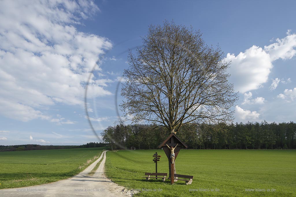 Schmallenberg Wormbach, Blick in die Landschaft im Fruehling mit Flurkreuz; Schmallenberg Wormbach, view into the landscape with wayside cross in spring.