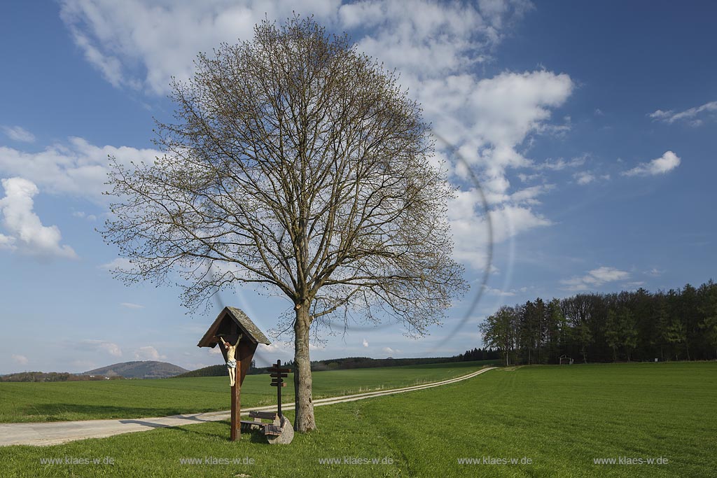 Schmallenberg Wormbach, Blick in die Landschaft im Fruehling mit Flurkreuz; Schmallenberg Wormbach, view into the landscape with wayside cross in spring.