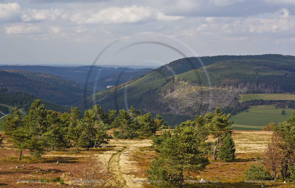 Willingen, Kreis Olpe, Blick auf Landschaft vom Ettelsberg mit Hochheide, Sauerland