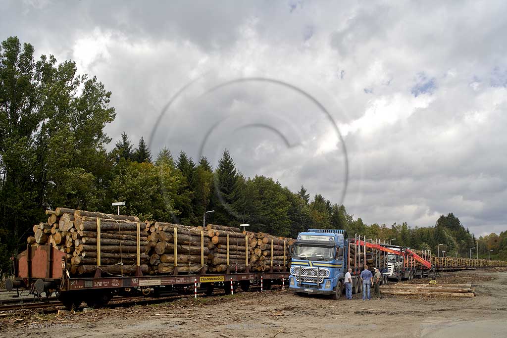 Winterberg, Bahnhof, Hochsauerlandkreis, Blick auf Holzverladung,   Sauerland