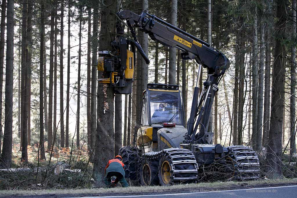 Winterberg, Waldarbeiter beim Fllen mit Harvester Ponsse Ergo, Vollernter