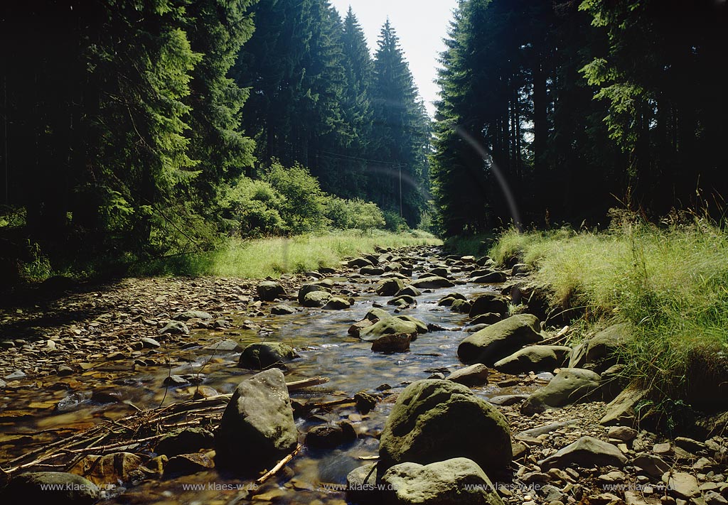 Bucheller, Burbach, Kreis Siegen-Wittgenstein, Siegerland, Blick ins Buchellertal, Bucheller Tal 