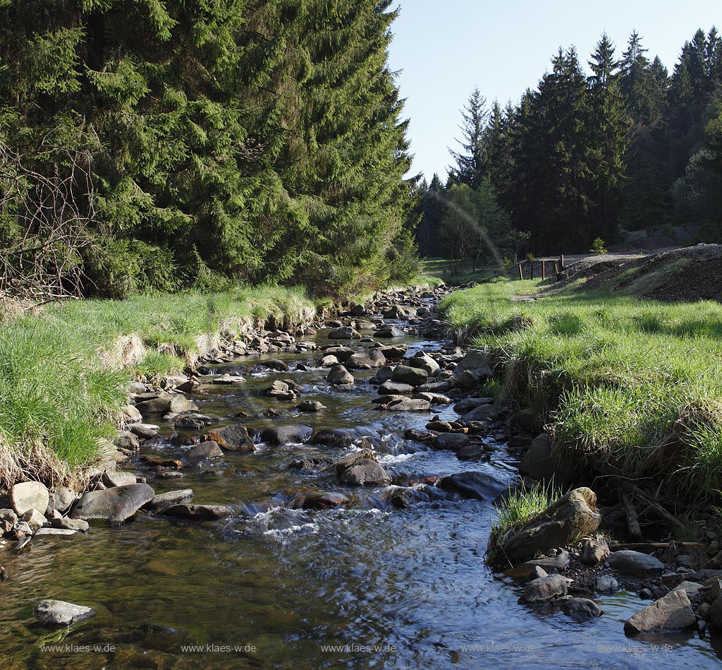 Die Buchheller im Naturschutzgebiet Buchhellertal; Burbach, beck Buchheller in the nature reservoir Buchheller valley