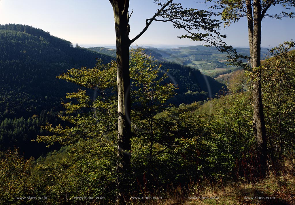 Dreifichten, Eisenstrasse, Rothaargebirge, Siegerland, Blick auf Landschaft bei Dreifichten