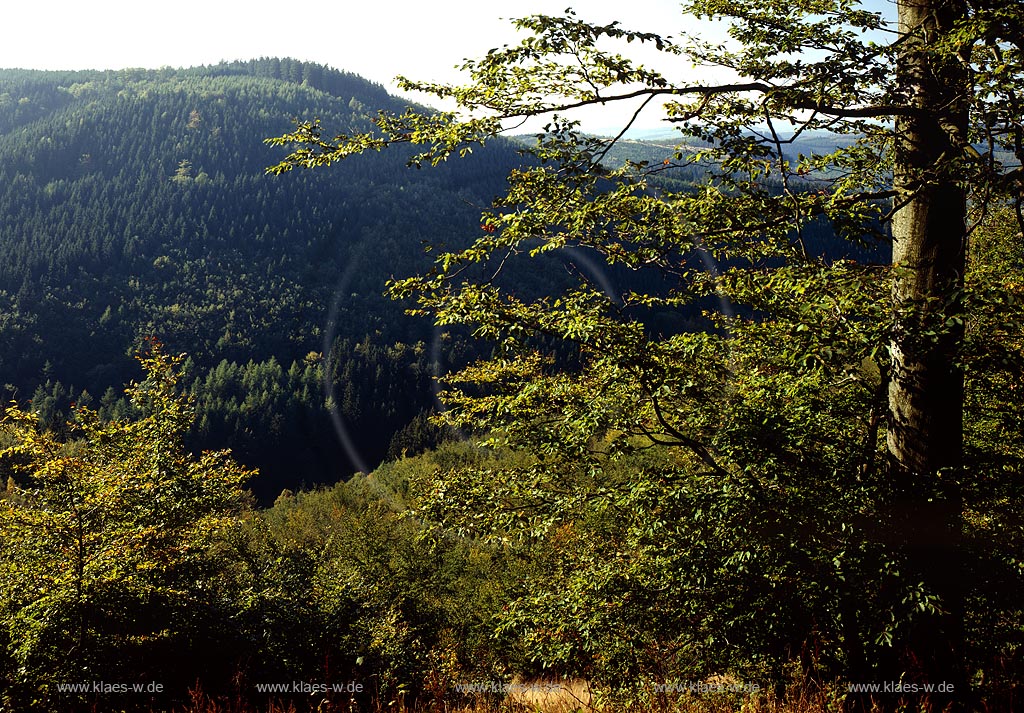 Dreifichten, Eisenstrasse, Rothaargebirge, Siegerland, Blick auf Landschaft bei Dreifichten