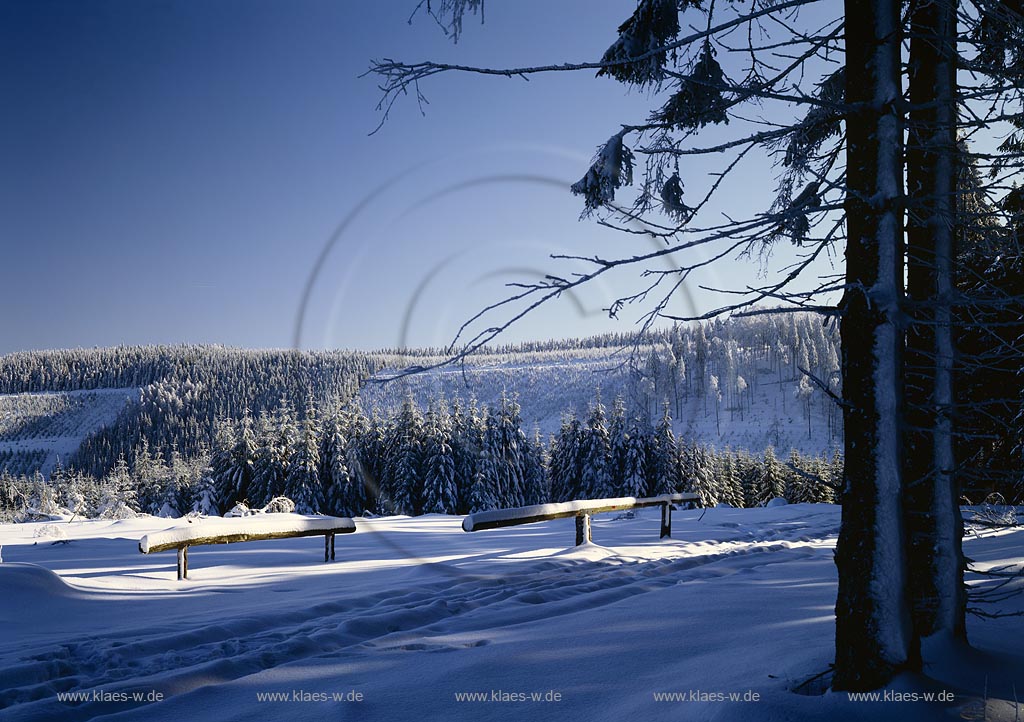 Eisenstrasse, Sassmannshausen, Samannshausen, Bad Laasphe, Kreis Siegen-Wittgenstein, Siegerland, Blick auf Forst Samannshausen am Lahnkopf