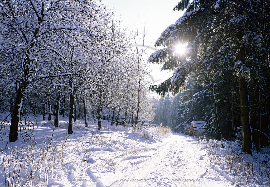 Eisenstrasse, Kreis Siegen-Wittgenstein, Siegerland, Blick auf Winterlandschaft