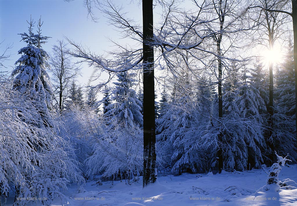 Eisenstrasse, Kreis Siegen-Wittgenstein, Siegerland, Blick auf Winterlandschaft