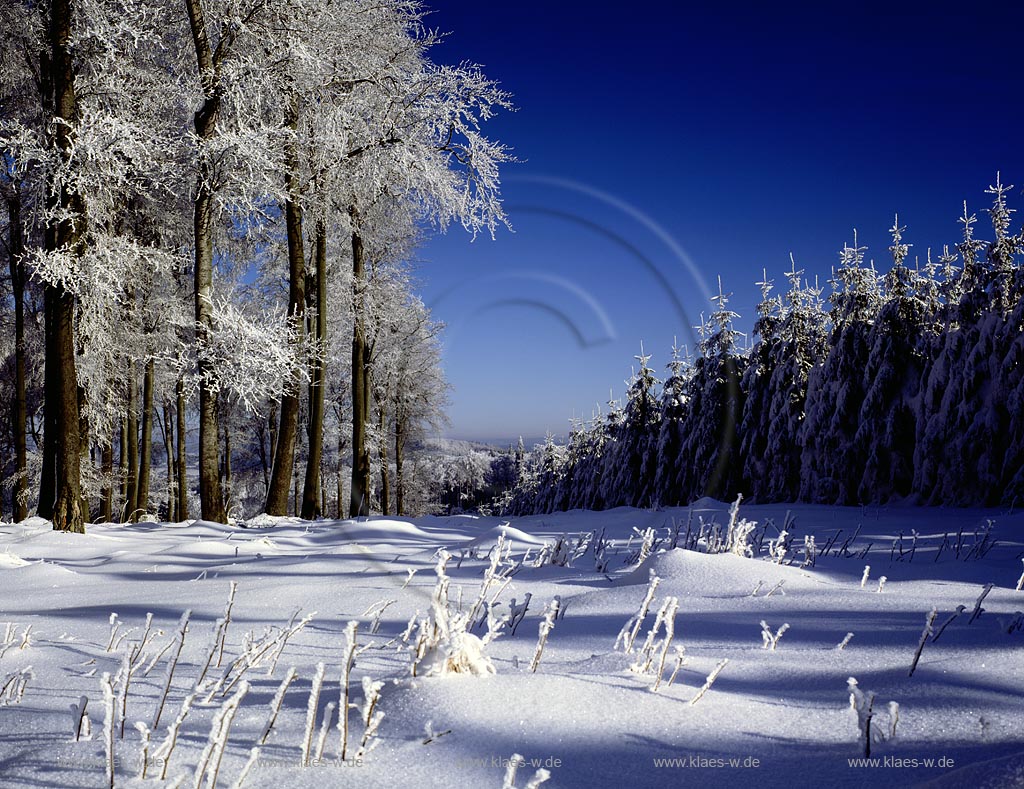 Heiligenborn, Eisenstrasse, Kreis Siegen-Wittgenstein, Siegerland, Blick auf Winterlandschaft